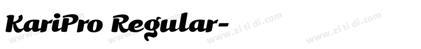 KariPro Regular字体转换